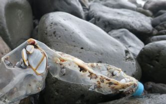 Na última década, o número de garrafas plásticas vindas China achadas na Ilha Inacessível disparou
